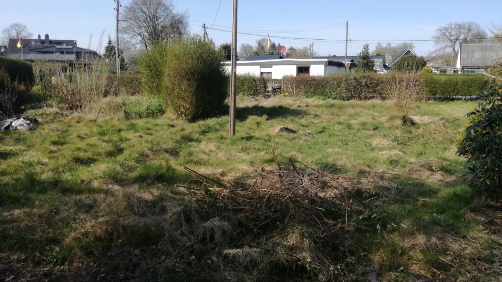 verwilderter Schrebergarten