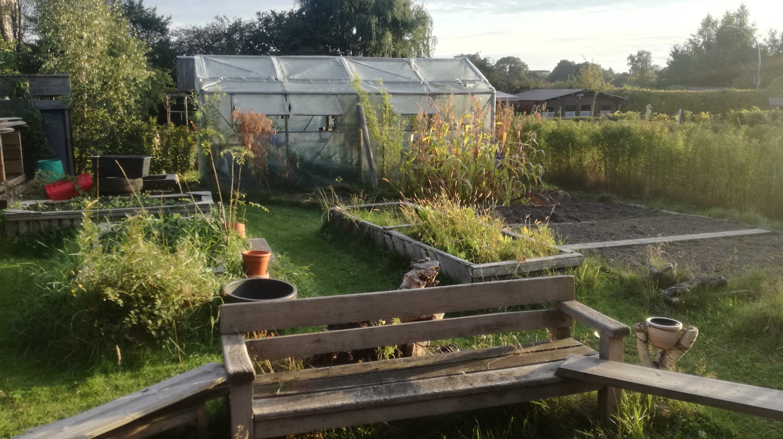 Kleingarten Schrebergarten